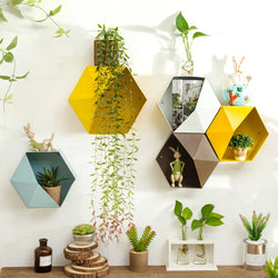 Hexagon Wall Flowerpot DIY Decorative Creative Wall Hanging Flower Geometric Pot Garden Basket for Garden