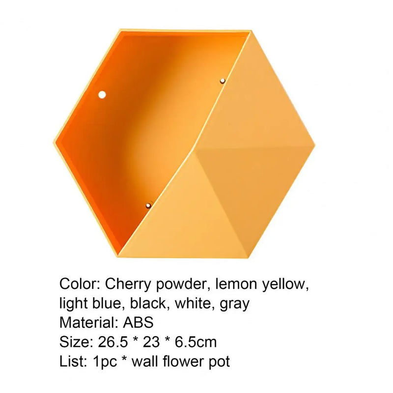 Hexagon Wall Flowerpot DIY Decorative Creative Wall Hanging Flower Geometric Pot Garden Basket for Garden